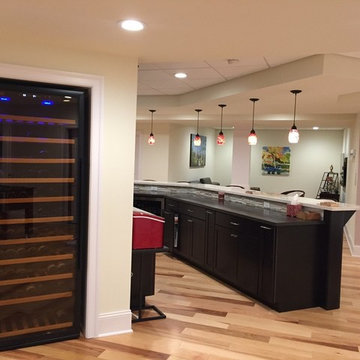 Contemporary Basement
