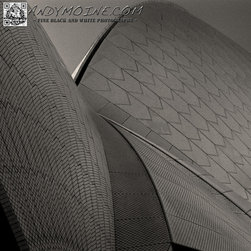 Sydney Opera House Sails - Sydney, Australia - Prints And Posters