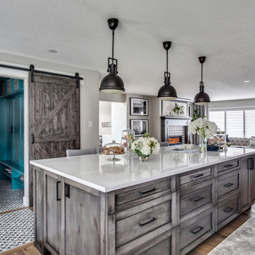 Willow Park Main Floor & Basement Remodel