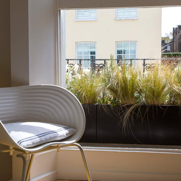 Indoor Window Box - Photos & Ideas | Houzz