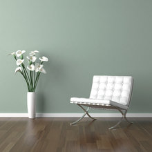 Hallway and living room