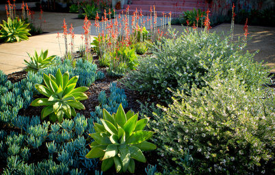 How to Maintain Your Garden to Ensure Its Long-Term Health