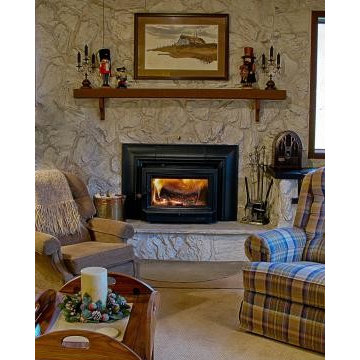 Hearthstone Clydesdale Soapstone Wood Insert