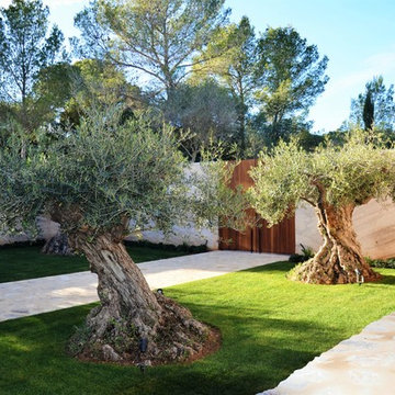 Finca Alquería Blanca