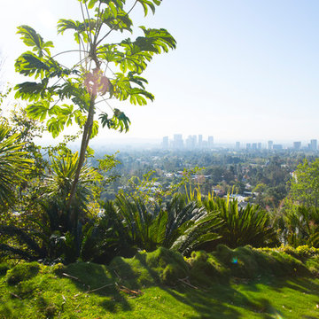 Beverly Hills Residence
