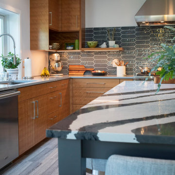 Ellis Hollow Modern Kitchen