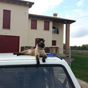Foto von Napo Leone