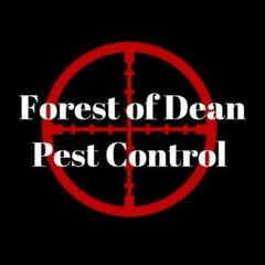 Forest Of Dean Pest Control