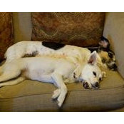Dawn O'Banion's photo