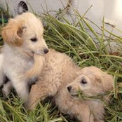 Matilda Sage's photo