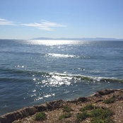 Katharine David's photo