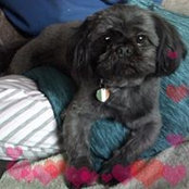 Aileen McNish's photo