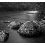 Foto di Dawn Mitchell