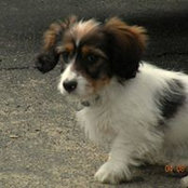 Tammy Gardner Ashley's photo