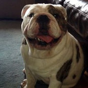 Lisa Quinn's photo