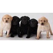 Bev Michel's photo