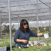 Bình Phương's photo