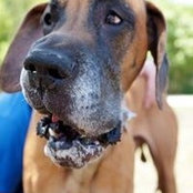 Graham Pelley's photo