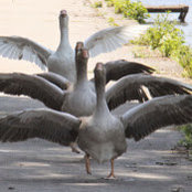 Anne Sams's photo