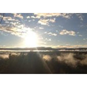 Carol Widen's photo