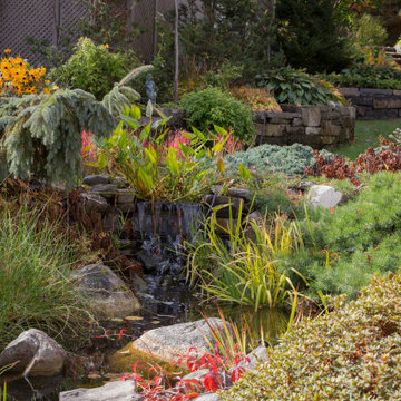 Water Features