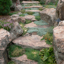 Landscape Ideas