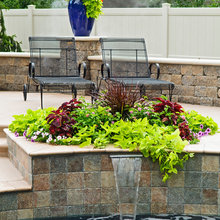 outdoor landscape