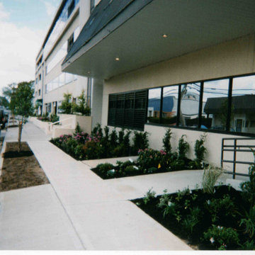 Commercial landscape planting