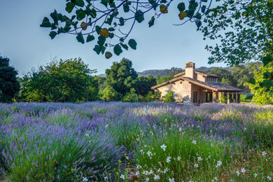 Reimagining Sustainable Land Planning in Napa Valley