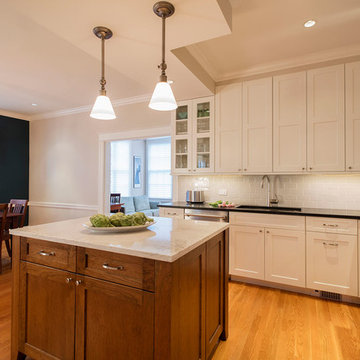 Tenleytown Kitchen Remodel