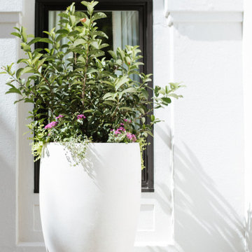 Exterior Renovation