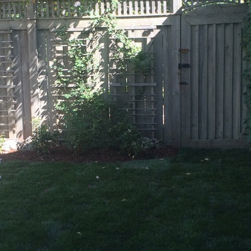 Woodland Garden Design Install