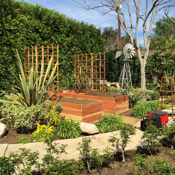 Backyard farm theme garden