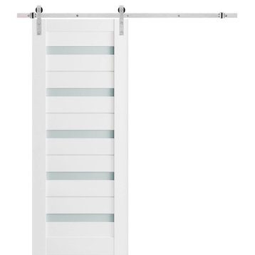Barn Door 28 x 80 Frosted Glass, Quadro 4445 White, Silver 6.6' Set