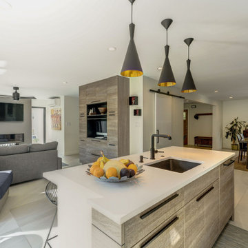 Arlington Ridge Modern Remodel