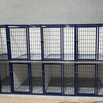 Colorful Kennels and Animal Enclosures