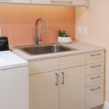 Northwest Grand Rapids . lower level renovation