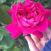 Светлана Балашова's photo