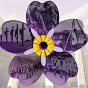 Foto von Silva Derbalian