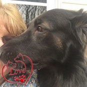 Holly Ann's photo