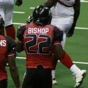Dennis Bishops foto