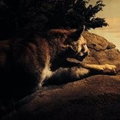 Matt Marchisello's photo