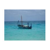 Hafsa Ibrahim's photo