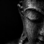 Chris Watkins's photo
