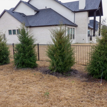Privacy Screens