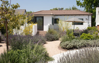 Yard of the Week: Low-Water Mediterranean Style and a Food Forest