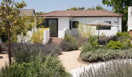 Yard of the Week: Low-Water Mediterranean Style and a Food Forest