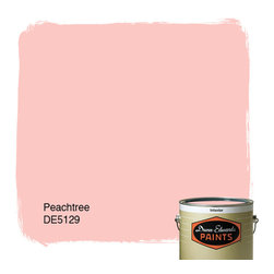 Dunn-Edwards Paints Peachtree DE5129 - Paint