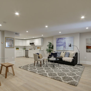 Basement remodel with bedroom space, closet space, living area, Irving