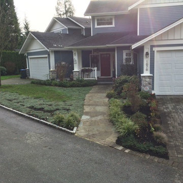 Ioco Lawn Alternative